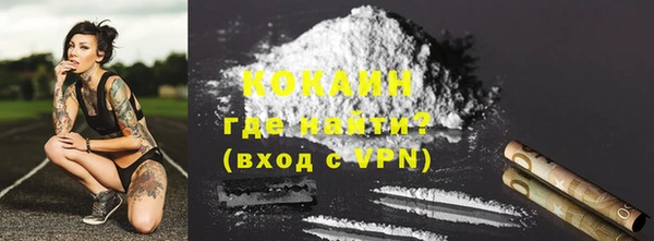 крисы Пересвет