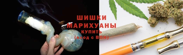 крисы Пересвет