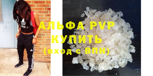 крисы Пересвет