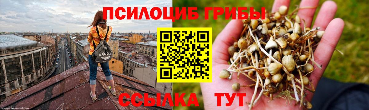 Галлюциногенные грибы прущие грибы Астрахань